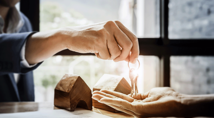 Intellectual Property Lawyer