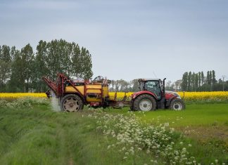 agriculture