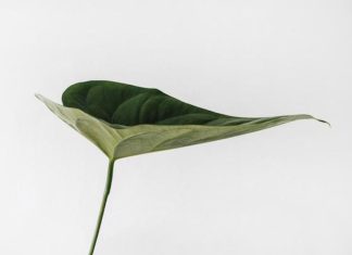Sustainability Trends That Will Drive Corporate Transformation Over the Coming Months Sustainability Trends