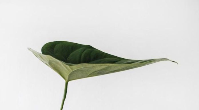 Sustainability Trends That Will Drive Corporate Transformation Over the Coming Months Sustainability Trends