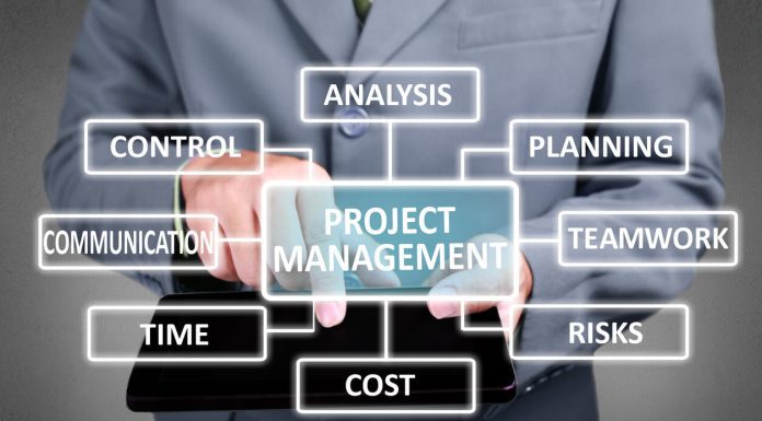 The Crucial Role of Project Management in International Business Plans iStock-1029747576