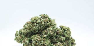 The Rising Trend of THCA Flower in the Cannabis Community iStock-1087973210-1-768x512