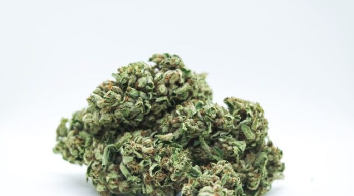 iStock-1087973210-1-768x512