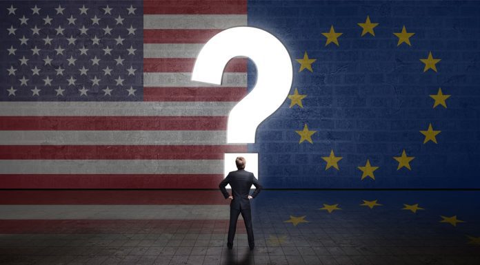 2024 American Elections