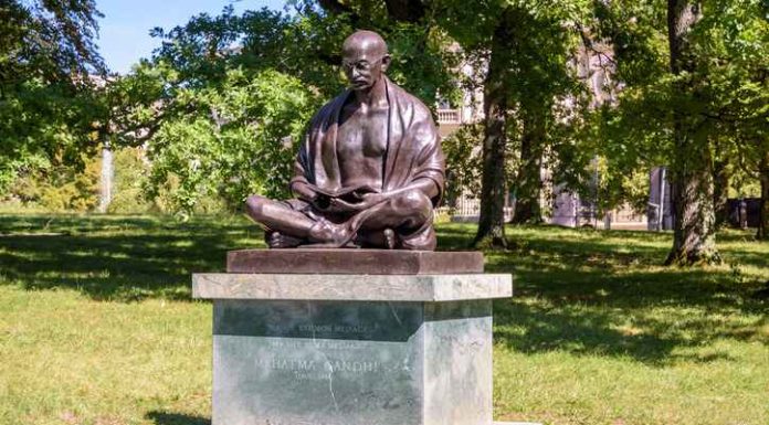 iStock-1296995172 (1)