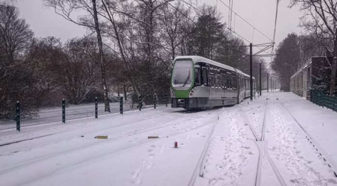 iStock-1301012386 (1)