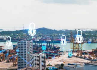 Cyber Supply Chain Risk Programme
