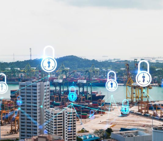 Cyber Supply Chain Risk Programme