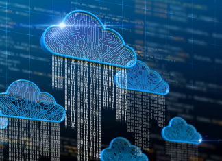Generative AI Use and the Cloud in 2024 Generative AI Use and the Cloud in 2024