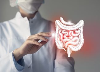Intestine in hands