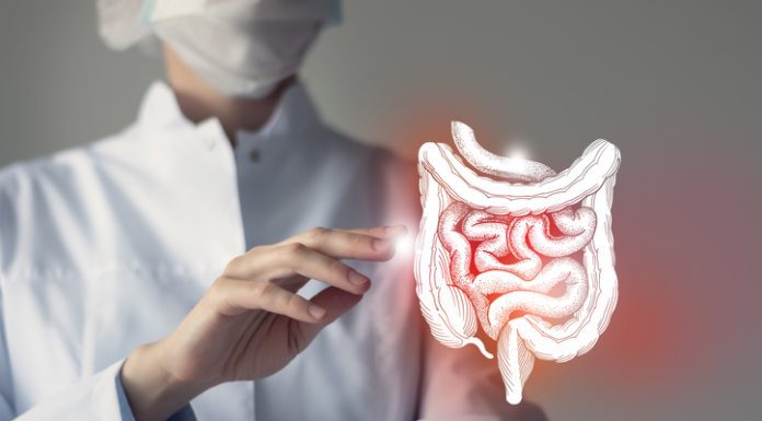 Going to Work While Battling Colon Cancer? 3 Things You Need to Understand Intestine in hands