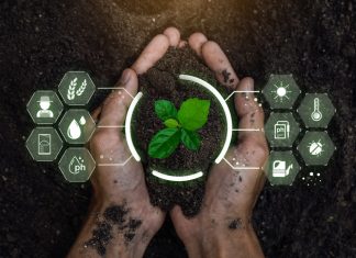 The Power of Lot Tracking for Enhanced Produce Quality Assurance Smart farming holding young plant. Smart farming and precision agriculture 4.0, agriculture concept.
