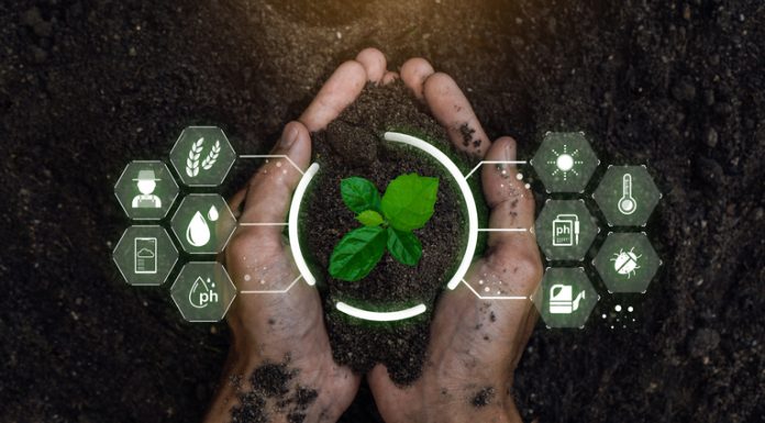 Smart farming holding young plant. Smart farming and precision agriculture 4.0, agriculture concept.