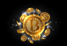 bitcoin Icon