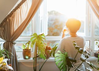 Back view woman drinking tea and looking at the sunrise or sunset while standing at the window in a room with green house plants, enjoying the moment.