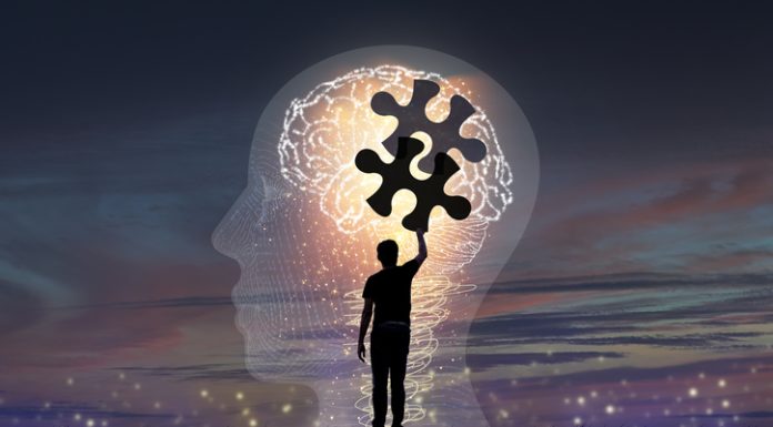 silhouette and a jigsaw puzzle