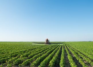 Zero-Waste Farming