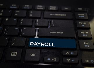 6 Payroll Software Solutions for Growing UK Businesses payroll word on keyboard