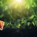 Why Sustainable Innovation is the Ticket to Sustainable Economic Growth.   Plants increase on sunny background