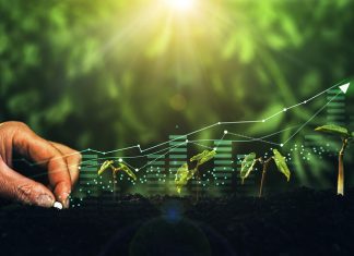Why Sustainable Innovation is the Ticket to Sustainable Economic Growth. Plants increase on sunny background