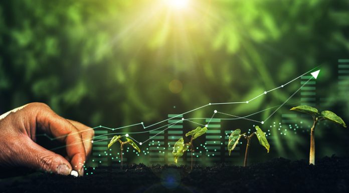 Why Sustainable Innovation is the Ticket to Sustainable Economic Growth.   Plants increase on sunny background