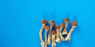 magic mushrooms