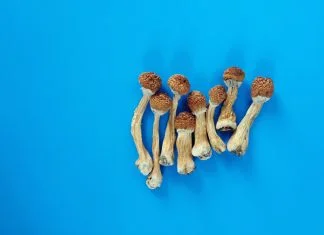magic mushrooms