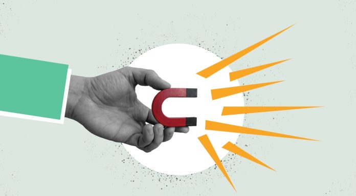 Magnetic Loyalty: Crafting Effective Loyalty Programmes that Attract and Retain Customers magnet