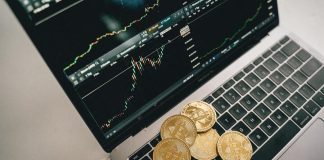 Three Developing Crypto Stories for 2024 Crypto