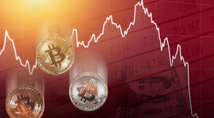 Insights and Actions of Institutional Investors & Traders in the Cryptocurrency Market Bitcoin digital cryptocurrency