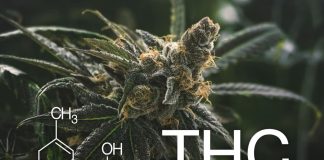 Is Delta-8 THC Right for You? Understanding its Advantages and Disadvantages Is Delta-8 THC Right for You