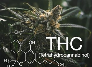 Is Delta-8 THC Right for You