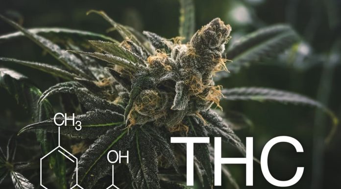 Is Delta-8 THC Right for You? Understanding its Advantages and Disadvantages Is Delta-8 THC Right for You