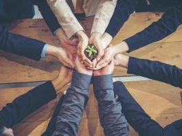 Your Workforce is Crying out for Sustainability Skills. It’s Time to Skill up – ESMT Executive Education workforce for Sustainability Skills