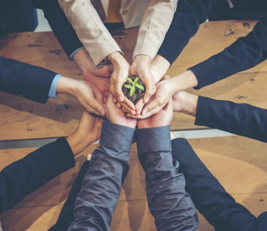 workforce for Sustainability Skills