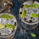 Lime and Juniper Berry Gin and Tonic