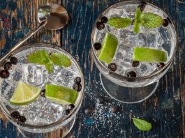 Lime and Juniper Berry Gin and Tonic