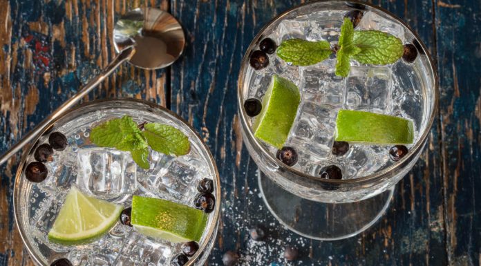 Creative Cocktail Recipes Perfect for an 8oz Cup Lime and Juniper Berry Gin and Tonic