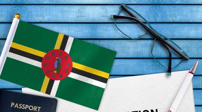 Visa application and flag of dominica