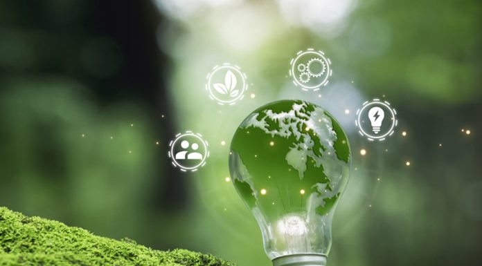 The Fungibility of Environmental, Social, and Governance Reporting The Fungibility of Environmental, Social, and Governance Reporting