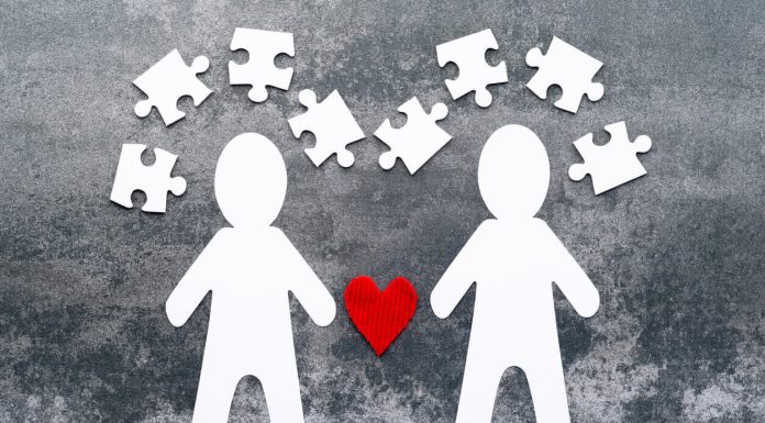 Vegan Love: How to Find a Partner Who Shares Your Values partner