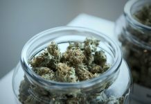 green cannabis on clear glass jar