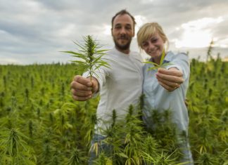 couple holding CBD leaf