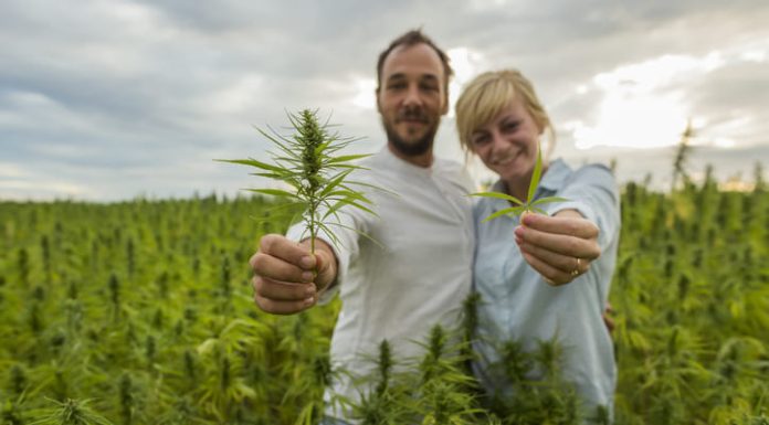Can You Give CBD As A Gift To Your Spouse Or GF? couple holding CBD leaf