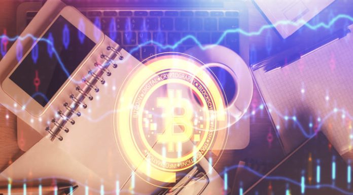 The Largest Crypto Community, Cardano Crocs Club, Supports the UEX.Finance Crypto Exchange Crypto