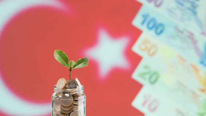 Chinese Ventures Capital funds Supports Turkish Startup Microalgaex with a $47 Million Funding Round Turkish coin in Jar with the turkey flag in the background