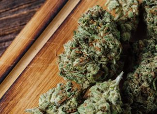 cannabis