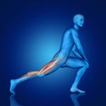 Artificial Tendons and Ligaments in Sports Recovery Man taking a long step