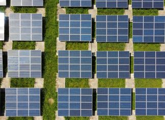 How Businesses Can Thrive in the Future of Sustainability