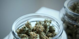 green cannabis on clear glass jar